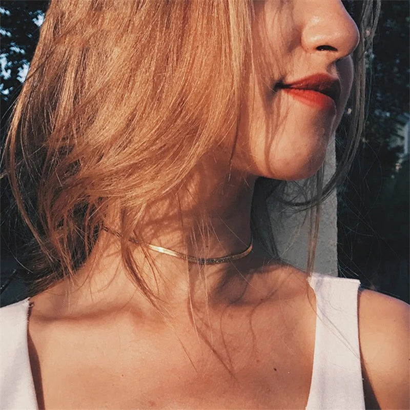 S102ceba2584e4678b20d0bf6a521cd59G